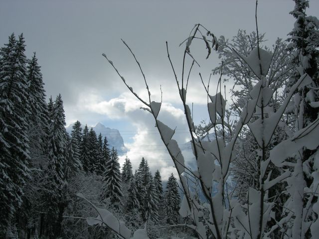 Formen aus Schnee und Wind