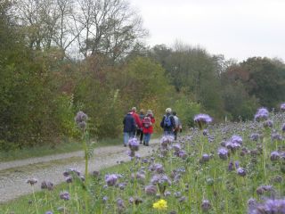 Blumen im Vordergrund